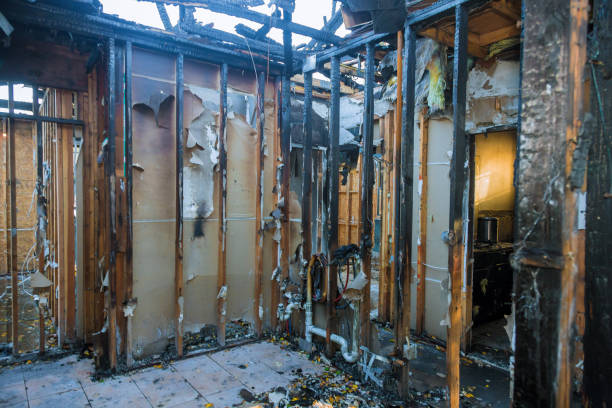 Professional Smoke Damage Removal technician working in Oakland, NE